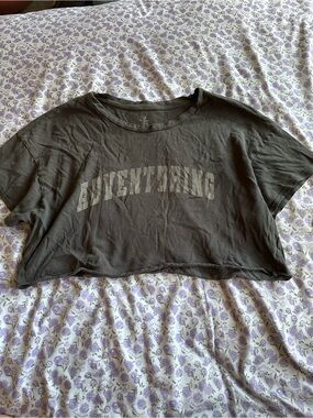 Aerie Grey Crop Tee